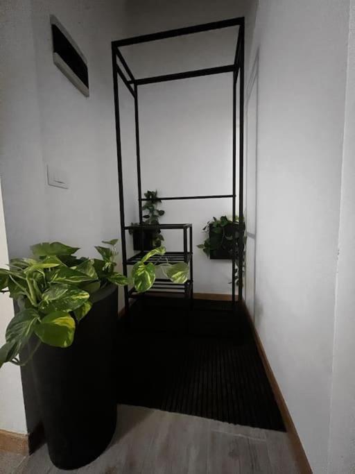 Guest House メラーノ エクステリア 写真